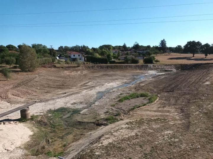 Marécage dans l'Ain