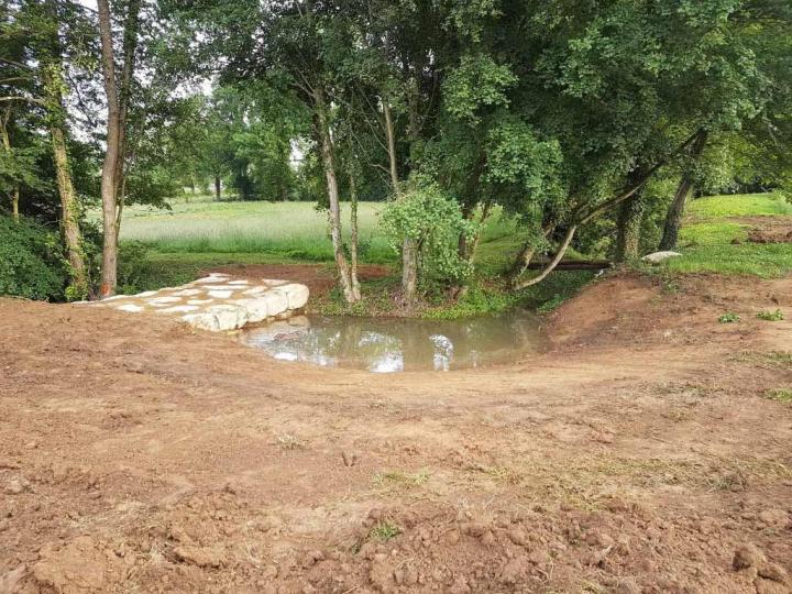 Protection de rives dans l'Ain