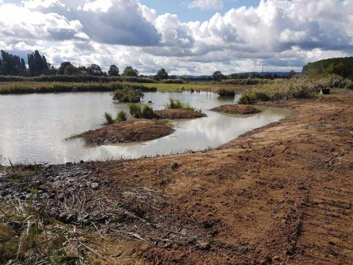 Terre marécageuse l'Ain