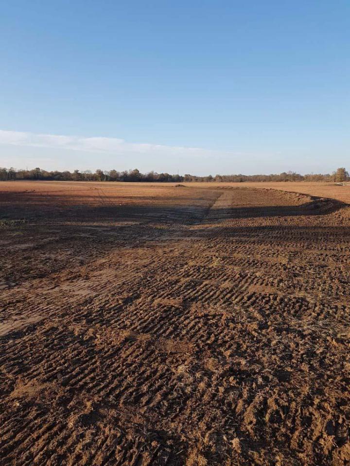 Bas-fond marécageux dans l'Ain